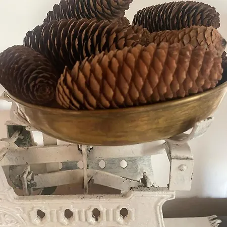 Hotel El Museo Astudillo