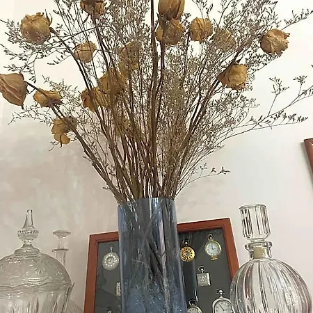 El Museo 3* Astudillo