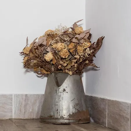 El Museo Hotel Astudillo